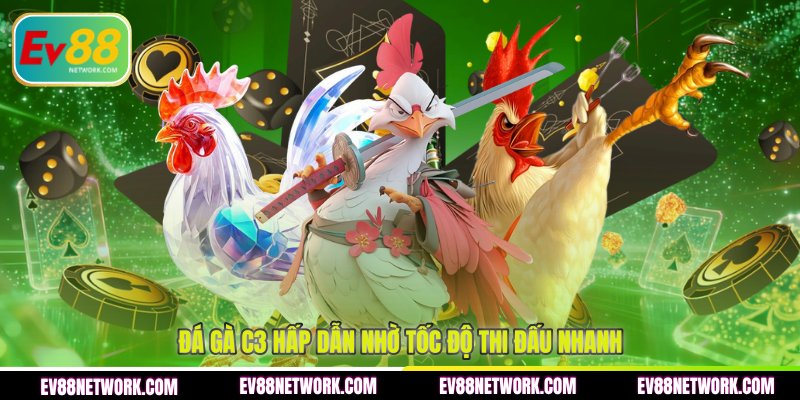 Đá Gà C3 Tại EV88 - Trải Nghiệm Cược Siêu Kịch Tính Đá gà C3 hấp dẫn nhờ tốc độ thi đấu nhanh