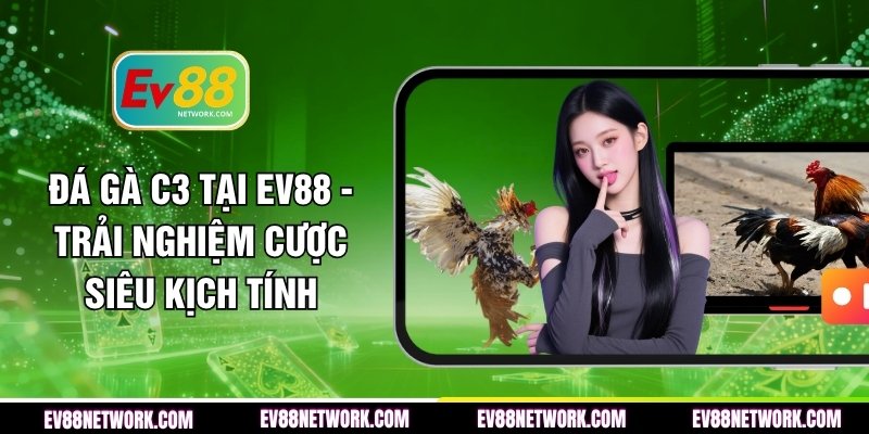 Đá Gà C3 Tại EV88 - Trải Nghiệm Cược Siêu Kịch Tính da-ga-c3-tai-ev88-trai-nghiem-cuoc-sieu-kich-tinh